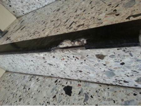 Betonwerkstein Stufen Sanierung