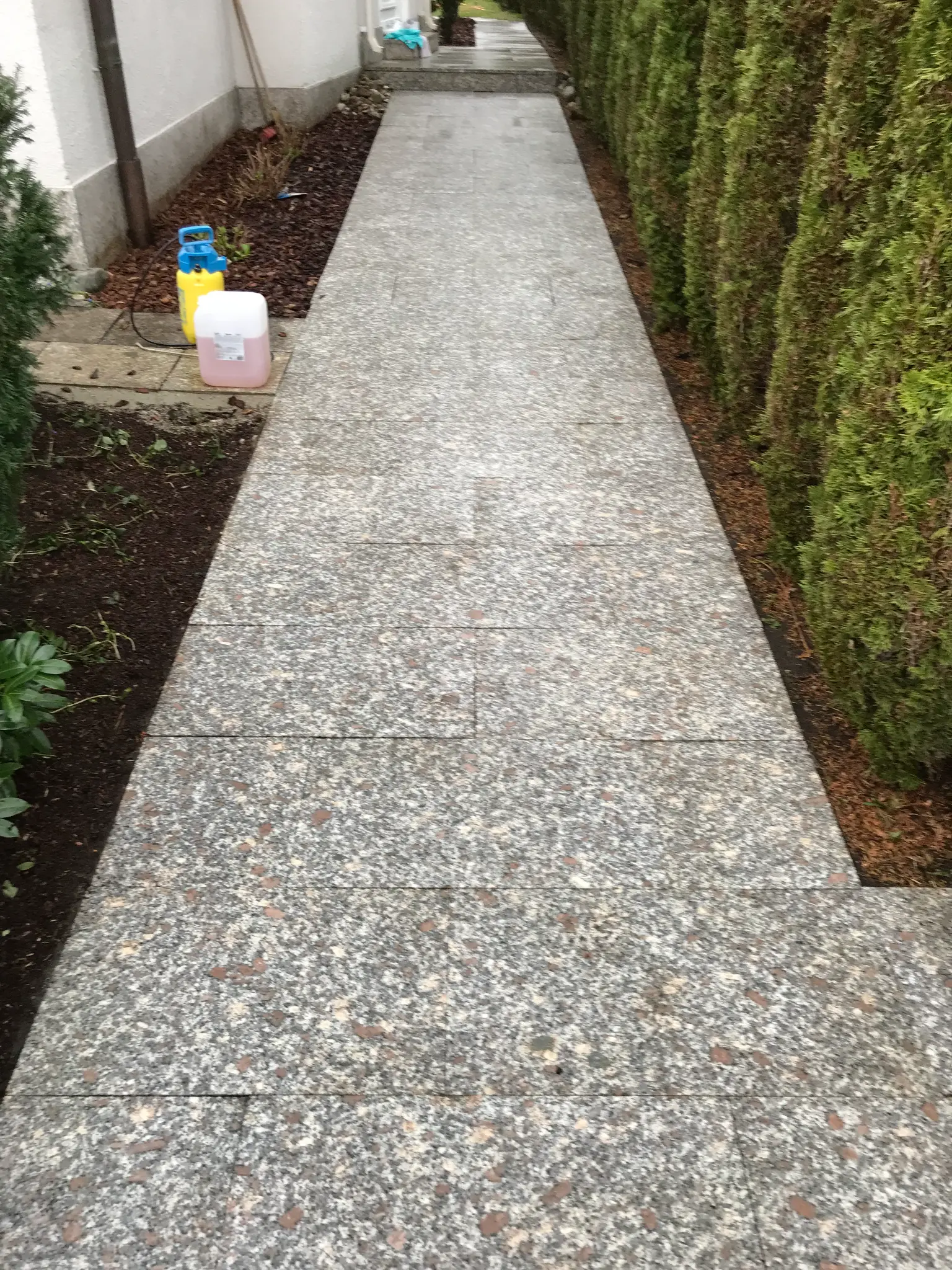 Granit-Gehweg nach der Moosentfernung - sauber und gepflegt