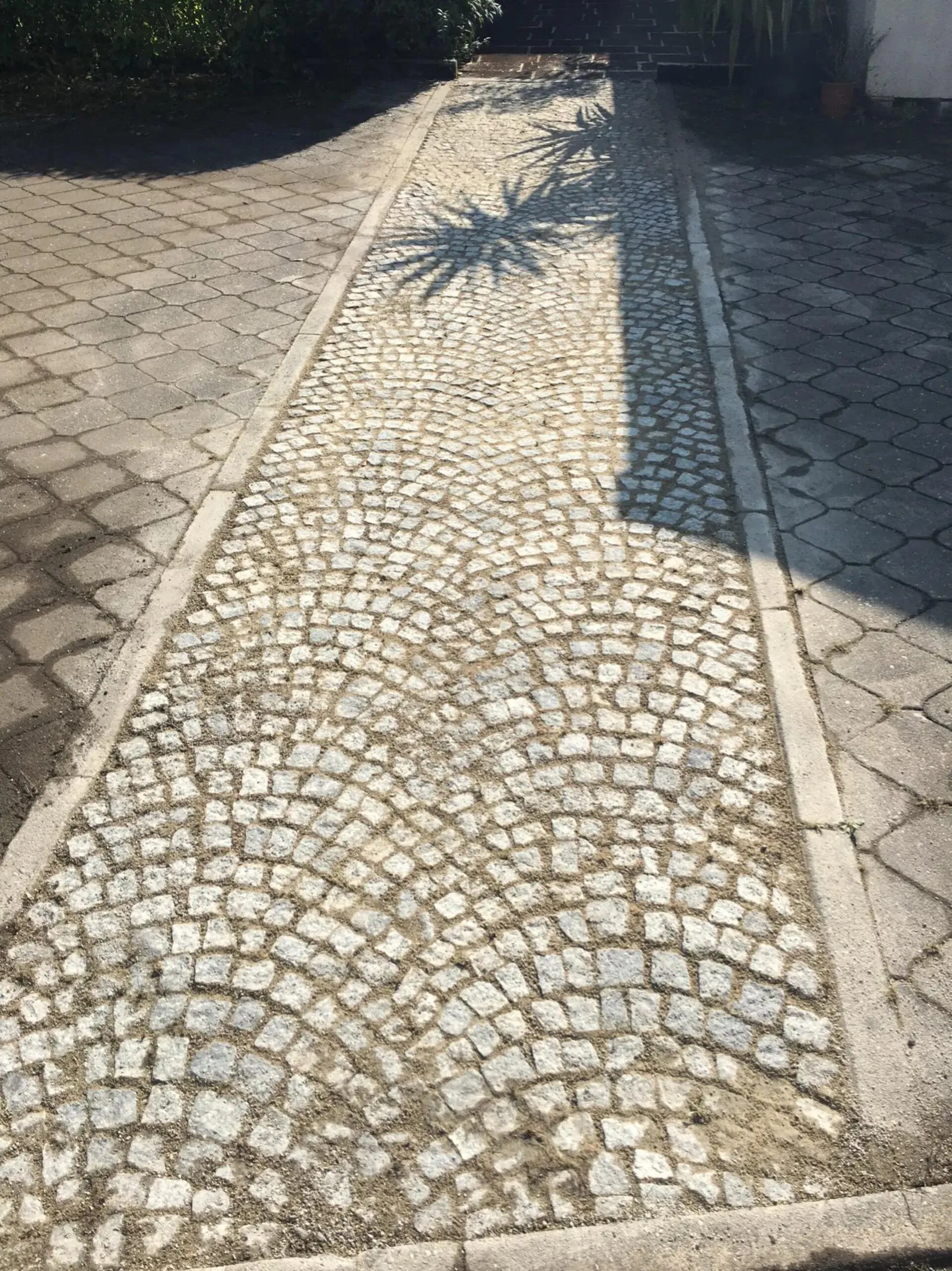 Gereinigt mit Algen und Moostilger