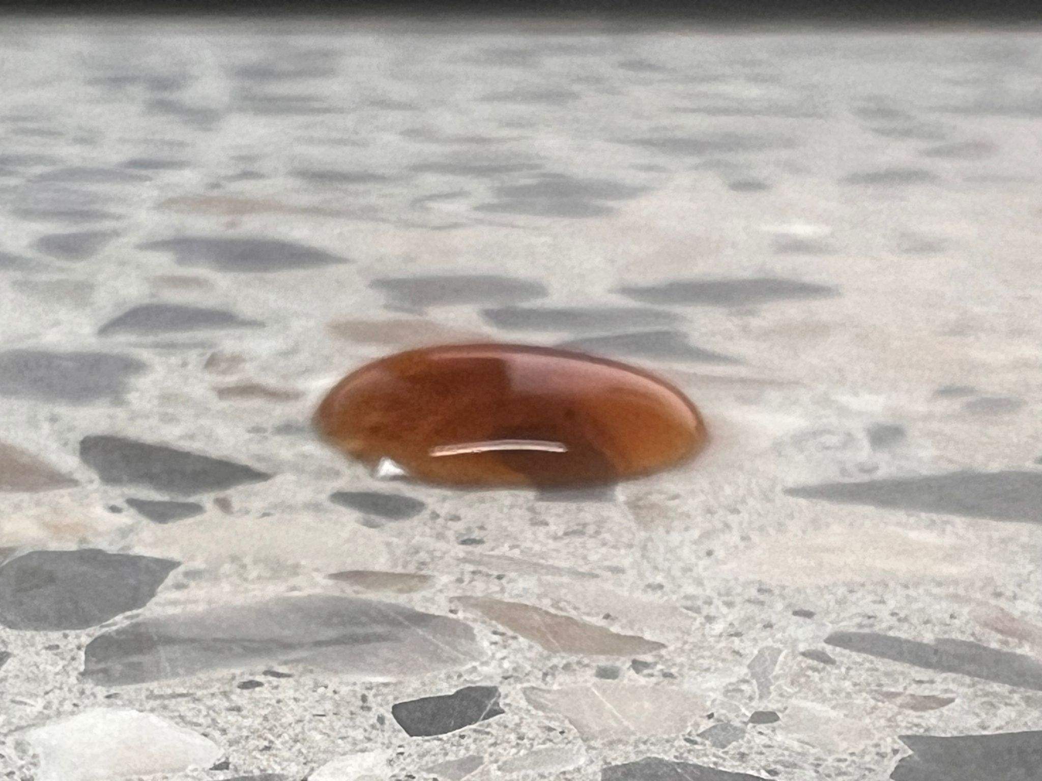 Terrazzo Versiegelt mit Nano Steinveredeler Pro - Kaffee